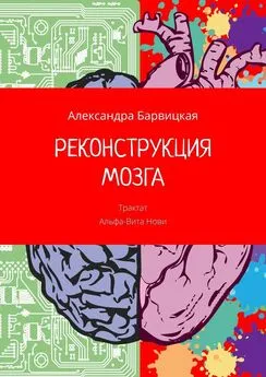 Александра Барвицкая - РЕКОНСТРУКЦИЯ МОЗГА. Трактат Альфа-Вита Нови