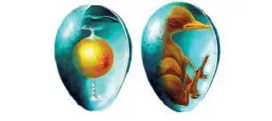 Желток из которого родился Цыпа висит в яйце на двух канатиках пуповинах - фото 8