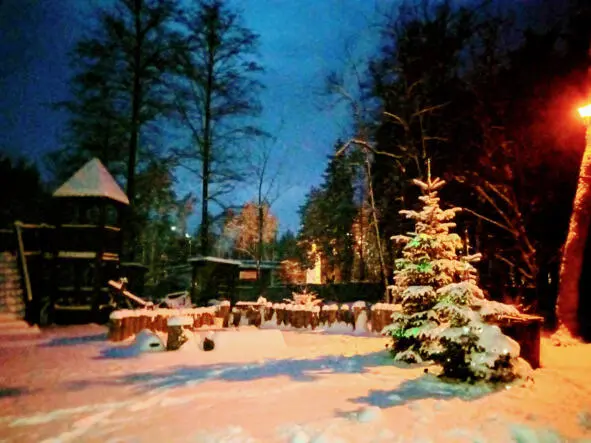 ДВАДЦАТЬ ПЕРВОЕ НОЧЬ Двадцать первое ночь декабря Снег на улице выпал не - фото 2