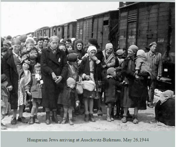 Евреи из Венгрии по прибытию в Освенцим 26 мая 1944 года Русские теснили - фото 40