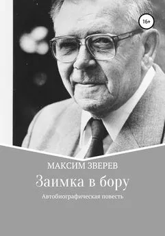 Максим Зверев - Заимка в бору