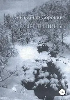 Александр Сорокин - Снег тишины