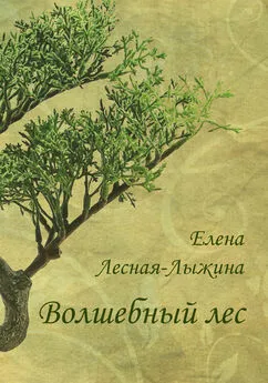 Елена Лесная-Лыжина - Волшебный лес