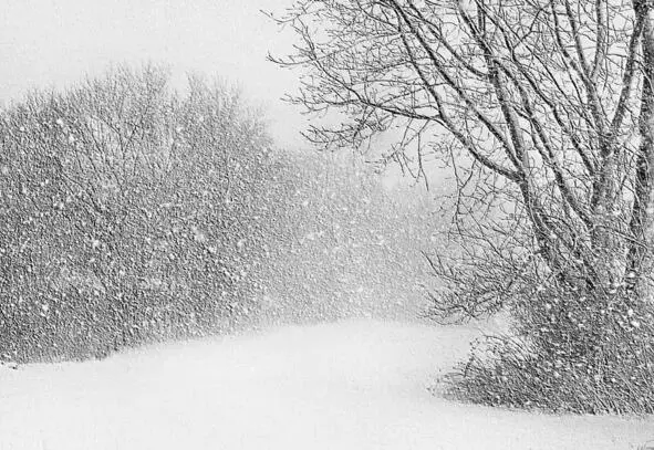 Снег ідзе вялікімі шматкамічакай непагадзь Вароны крычаць бесперапынна - фото 4
