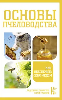 Н. Медведева - Основы пчеловодства. Как обеспечить себя медом