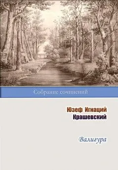 Юзеф Игнаций Крашевский - Валигура