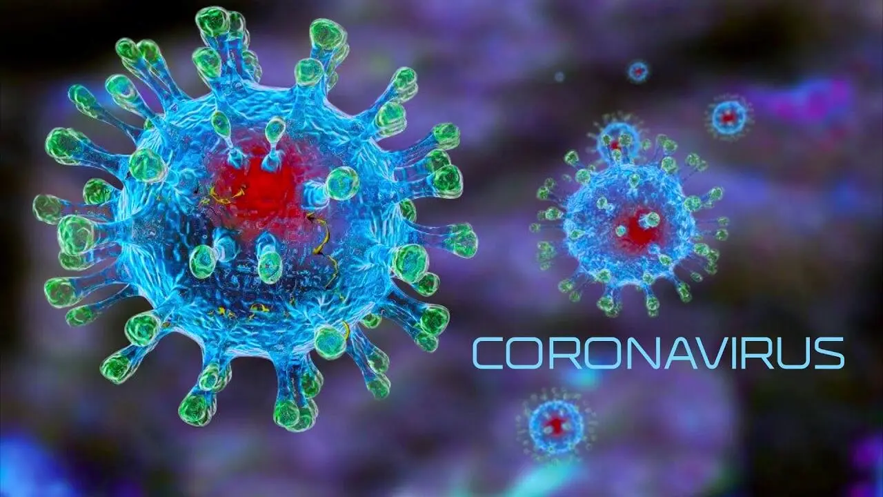 Схематичное изображение коронавируса Фотография под электронным микроскопом - фото 2