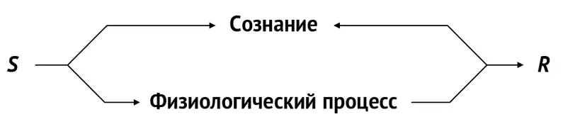 Содержание сознания определяется внешними стимулами и нашим внешним поведением - фото 2