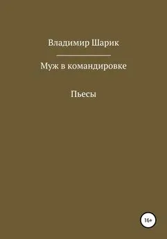 Владимир Шарик - Муж в командировке. Пьесы