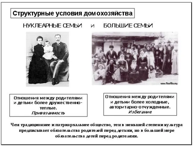 Рис 2Структурные условия домохозяйства в различных обществах сказываются на - фото 2