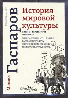 Михаил Гаспаров - История мировой культуры