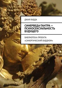 Джая Будда - Синерведа-тантра – психосексуальность будущего. Библиотека проекта «Синергический буддизм»