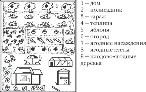 Рисунок 1 Общая планировка приусадебного участка Желательно чтобы на соседних - фото 1