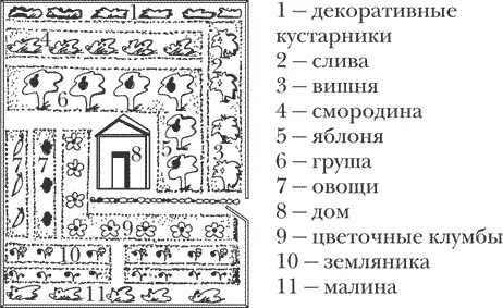 Рисунок 2 Регулярный стиль планировки приусадебного участка Плодовые деревья и - фото 2