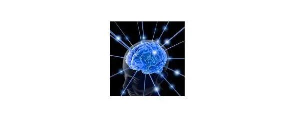 Источник httpsminddevelopmenteu Подобным образом и каждый человек - фото 23