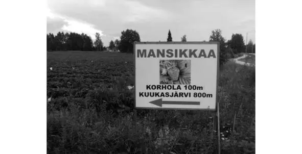 Мне неважно куда ехать Близко ли далеко ли Главное чтоб стелился асфальт - фото 22