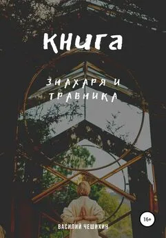 Василий Чешихин - Книга Знахаря и Травника