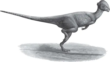 АНКИЛОЗАВР Анкилозавр по современным меркам очень крупное животное как - фото 3