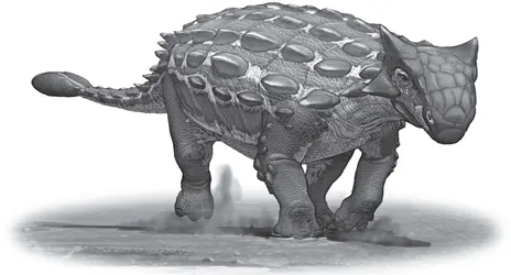 АНКИЛОЗАВР Анкилозавр по современным меркам очень крупное животное как - фото 4