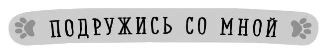 Рэйчел Дэлахэй Храбрый совёнок Посвящается великолепным друзьям из - фото 1