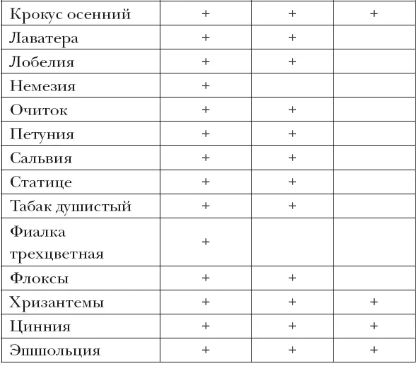 Общий уход за осенними цветами Осенняя посадка Среди осенних цветов есть - фото 10