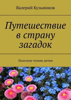 Валерий Кузьминов - Путешествие в страну загадок. Полезное чтение детям