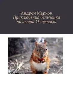 Андрей Марков - Приключения бельчонка по имени Огнехвост