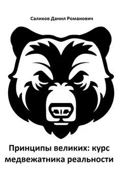 Данил Салихов - Принципы великих: курс медвежатника реальности