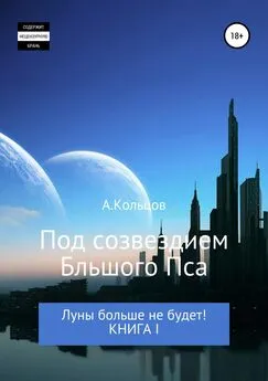 Анатолий Кольцов - Под созвездием Большого Пса. Луны больше не будет! Книга 1
