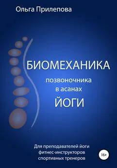 Ольга Прилепова - Биомеханика позвоночника в асанах йоги