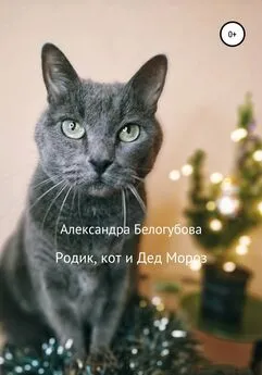 Александра Белогубова - Родик, кот и Дед Мороз