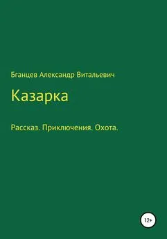 Александр Бганцев - Казарка