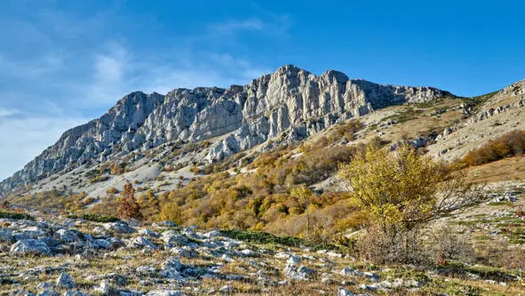 Лишь на третий раз удалось его снять без помех 25102020 Фото в книге - фото 19