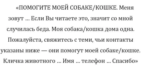 Эта лаконичная записка поможет вашему любимцу в трудной ситуации Тринадцать - фото 3