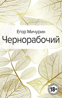 Егор Мичурин - Чернорабочий