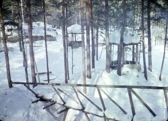 Шарташский лесопарк зимой 1985 Источник http1723ruforums Вплоть до - фото 11