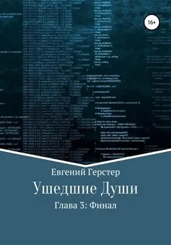 Евгений Герстер - Ушедшие души. Глава 3. Финал