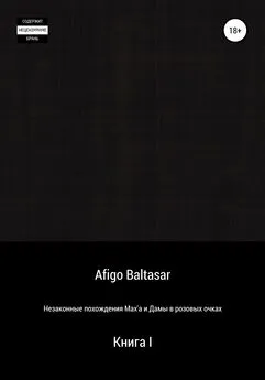 Afigo Baltasar - Незаконные похождения Max'a и Дамы в розовых очках. Книга 1