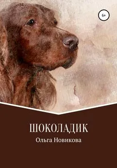 Ольга Новикова - Шоколадик