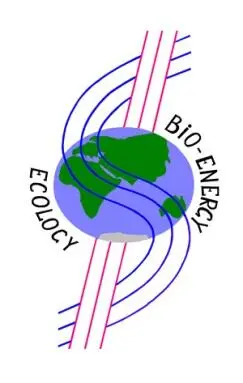 Возможно у Вас возник вопрос почему эмблема Биоэнергетической экологии - фото 6