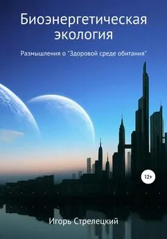 Игорь Стрелецкий - Биоэнергетическая экология. Размышления о «Здоровой среде обитания»