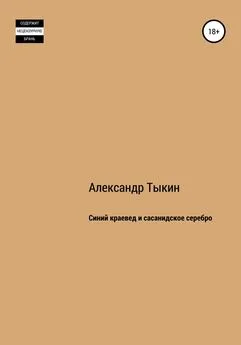 Александр Тыкин - Синий краевед и сасанидское серебро