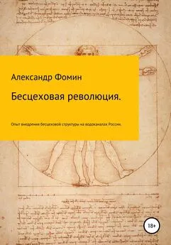 Александр Фомин - Бесцеховая революция. Опыт внедрения бесцеховой структуры управления на водоканалах России.