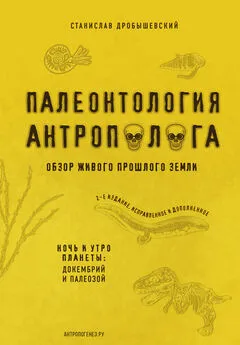 Станислав Дробышевский - Палеонтология антрополога. Книга 1. Докембрий и палеозой