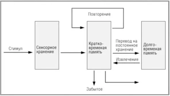 Рисунок 2 Модель Аткинсона и Шифрина 26 26 Майк Кордуэлл Модель памяти - фото 3