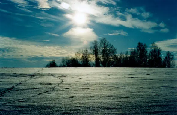 Мой взгляд устремляется в белую даль поля где неожиданно снежную гладь - фото 4