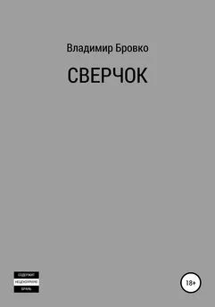 Владимир Бровко - Сверчок