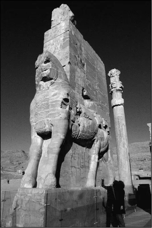 Чудом сохранившиеся монументы Персеполь наиболее важное из четырех - фото 1