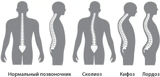 И тут происходит самое важное Физические показатели у ребенка автоматически - фото 4