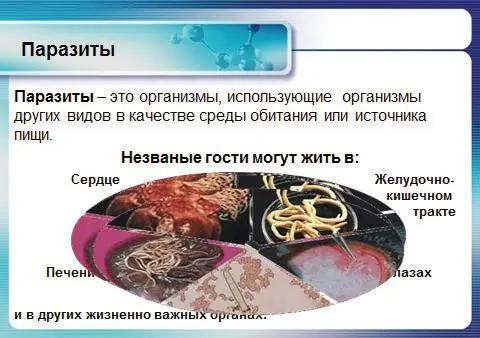 Рис 3 Гельминты в организме человека Как же появилась аппаратура для - фото 4